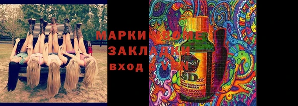 винт Алзамай